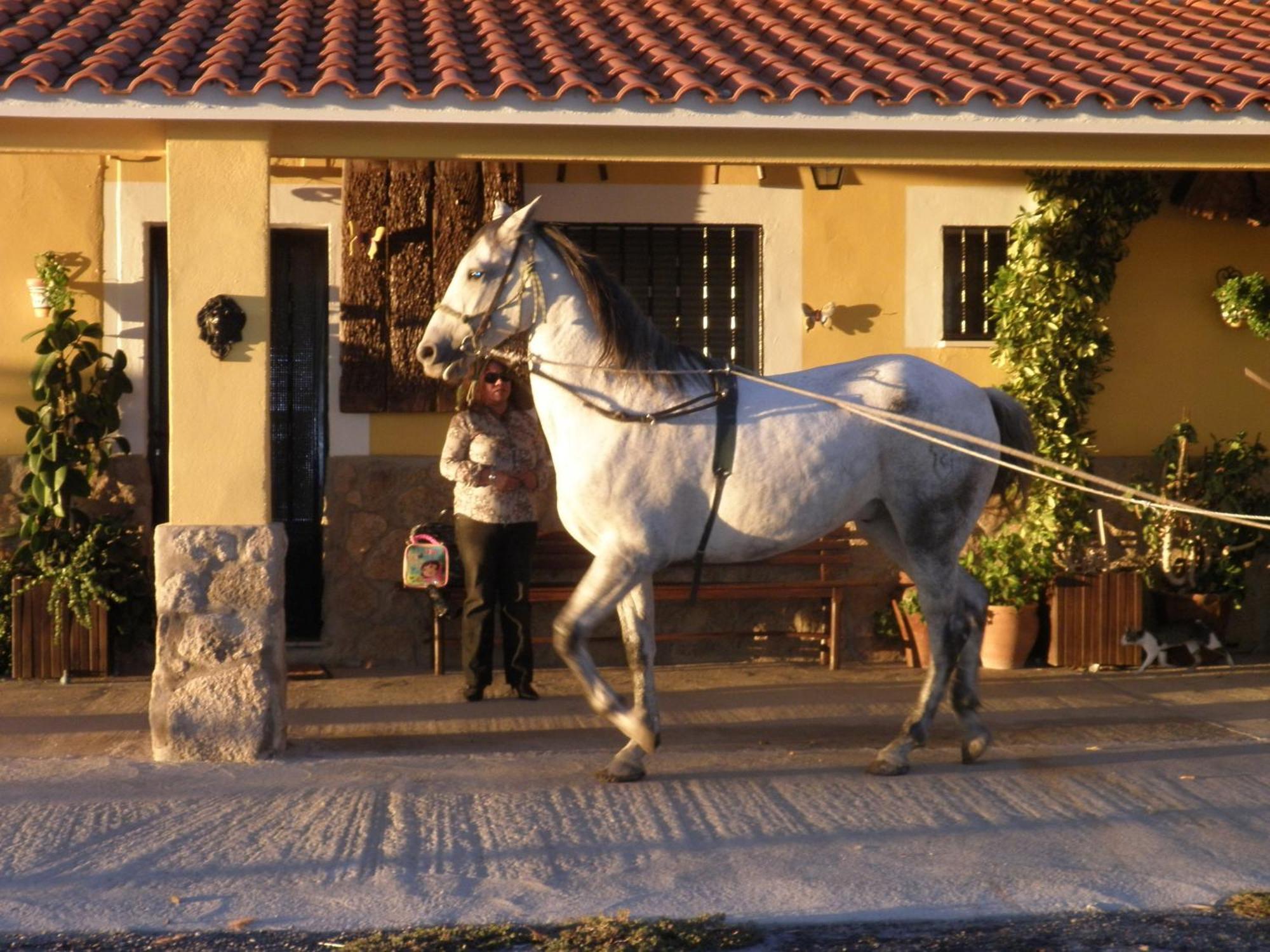 La Posada Hípica Rosalejo (Caceres) Exterior foto